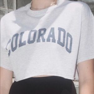 Brandy Melville Tops - Brandy Melville Colorado Crop (VERY CROPPED) Brandy Melville Tops - Brandy Melville Colorado Crop (VERY CROPPED)
